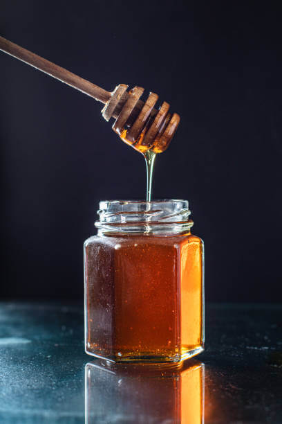 Wild Forest Honey  250ml