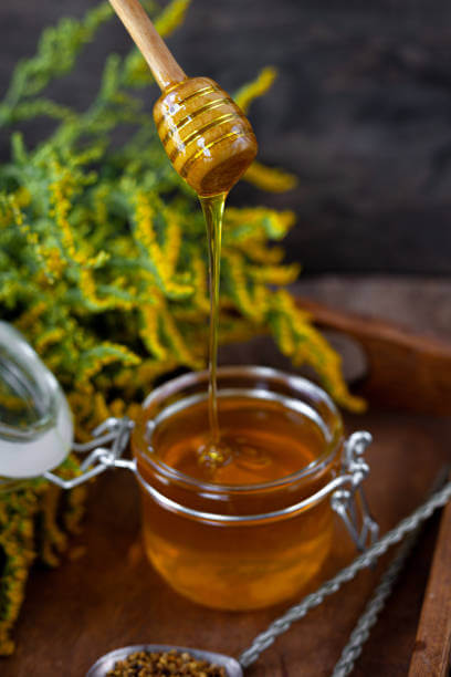 Organic Mustard Honey 500ml